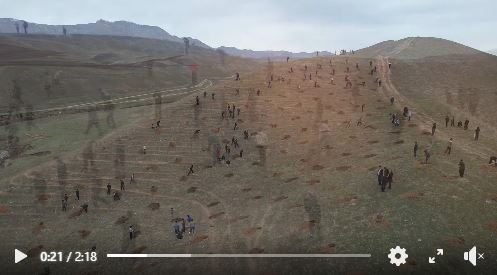 МАЪРАКАИ НИҲОЛШИНОНӢ