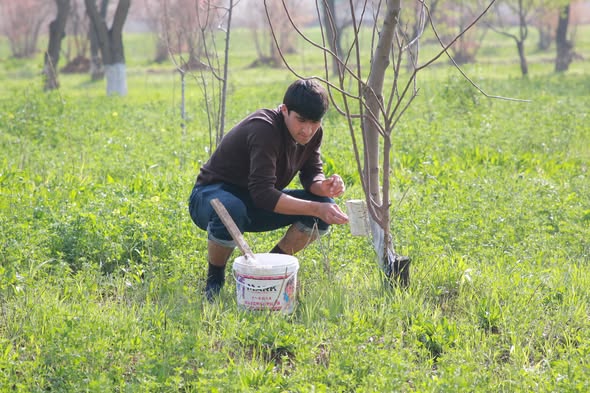 ОМОДАГӢ БА МАВСИМИ БАҲОР ДАР “ЗАҒЕРТУТ”